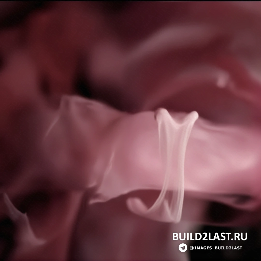 ������������� ������� � ������������ �������� ��������, ������������� � ������� �����, �������� �������� ���������� �������