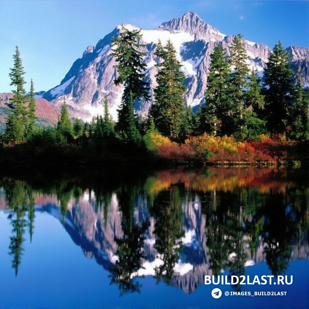 Лес с водопадами в окружении зелени и природы